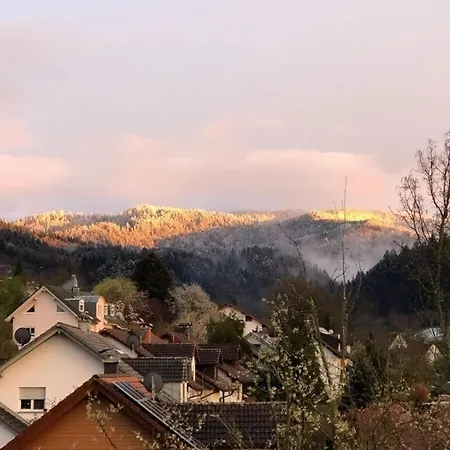 Holiday Forest * Sulzburg