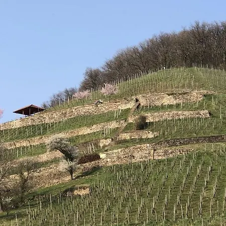 Lejlighed Holiday Forest Sulzburg